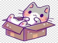 Animals Box Puzzle Game