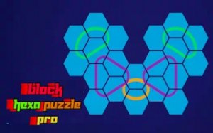 Hexagon Shape Fit Puzzle