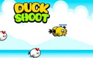 Carnival Duck Target Game