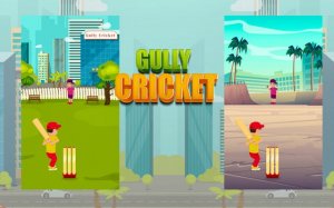 Street Cricket: Neighborhood Match
