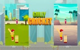Street Cricket: Neighborhood Match