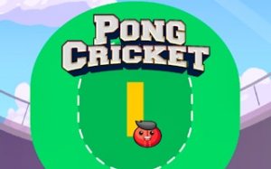 Pong Cricket Arcade Sports