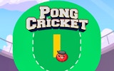 Pong Cricket Arcade Sports
