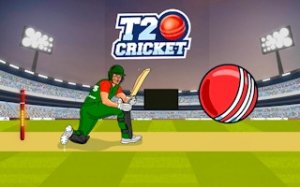 T20 Cricket Batting Challenge